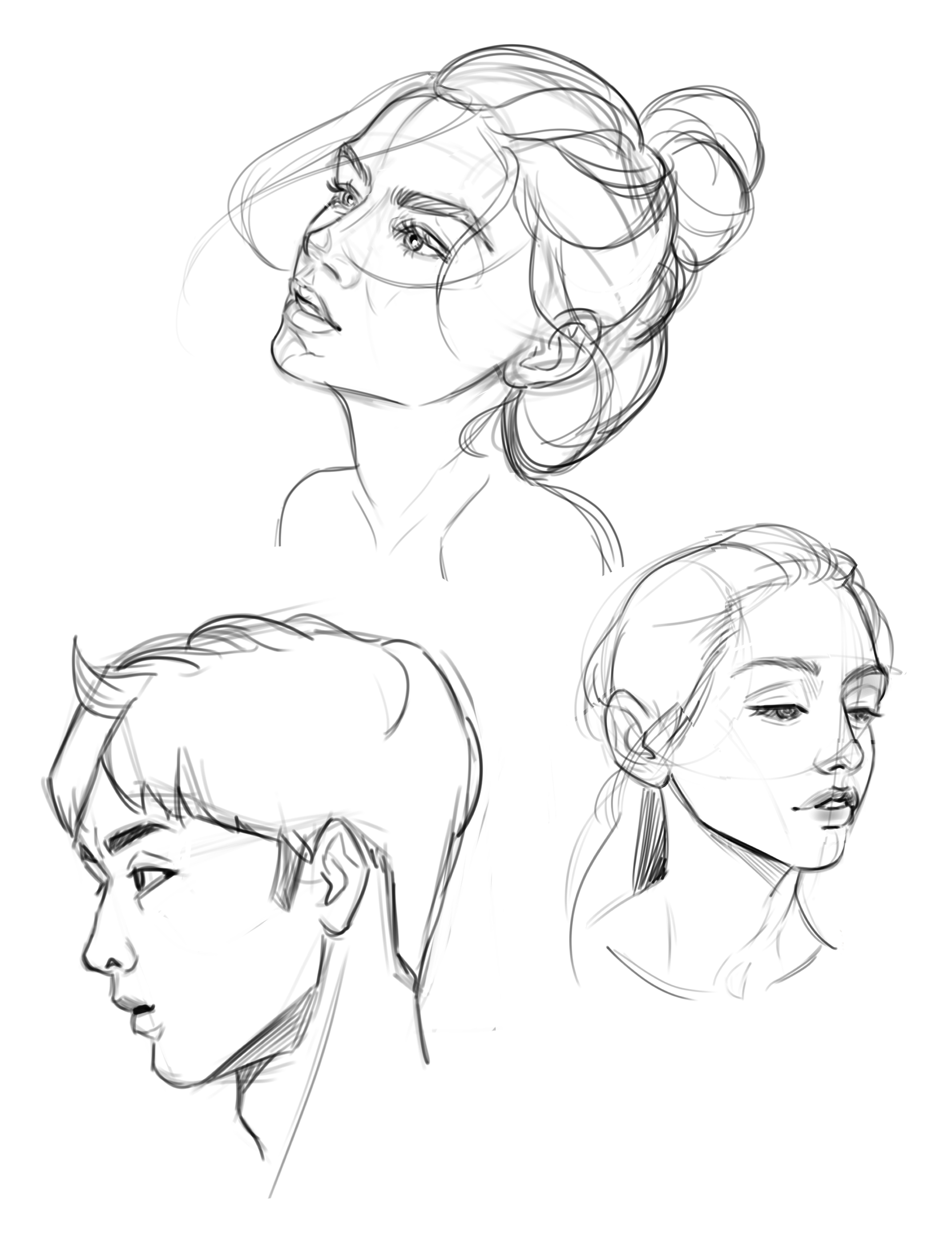 Portrait sketch